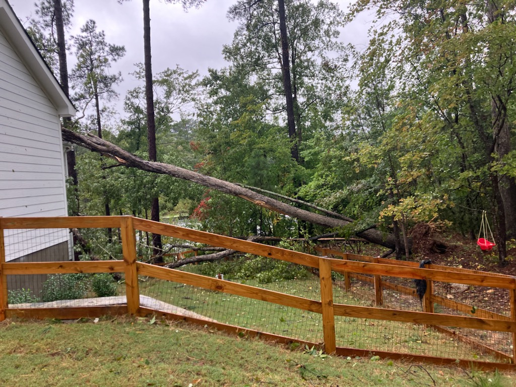 Emergency tree removal after storm